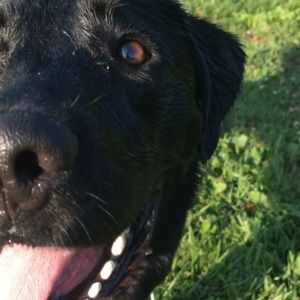 Meet your Posher, Bb